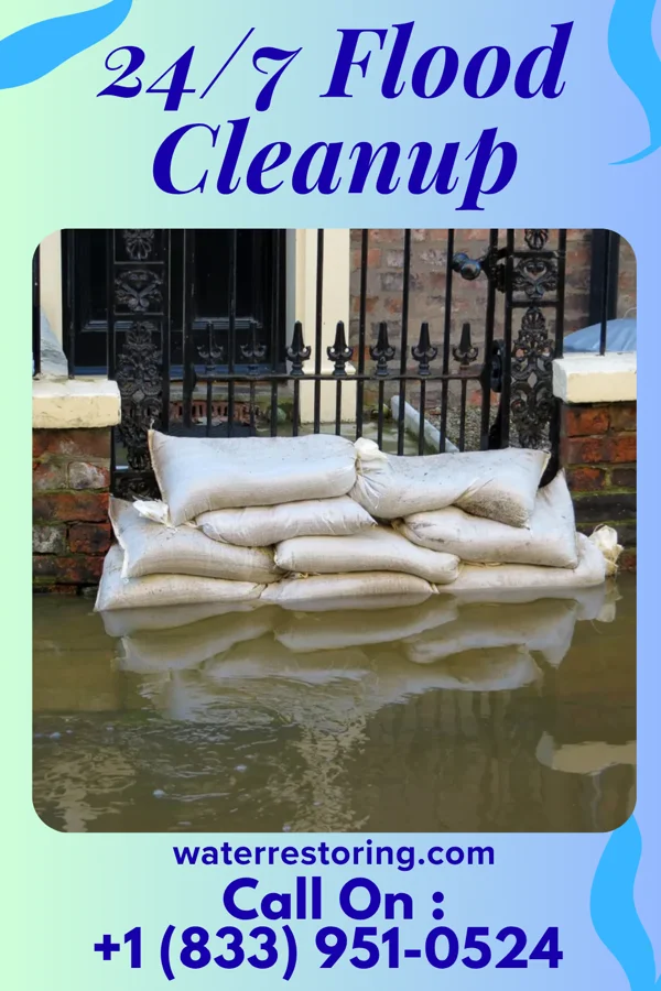 24/7 Flood Cleanup in Haleburg, AL