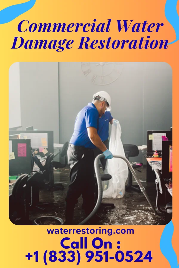 Commercial Water Damage Restoration in Haleburg, AL