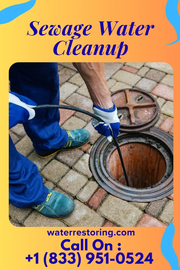 Sewage Water Cleanup in Haleburg, AL